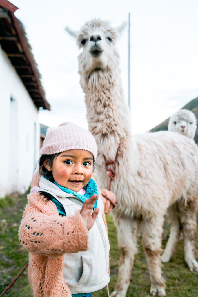 A small girl holds a leash with a lama on the end. 