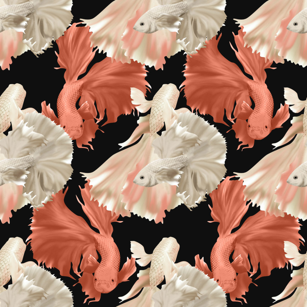 A pattern of pink and white fighting fish. 