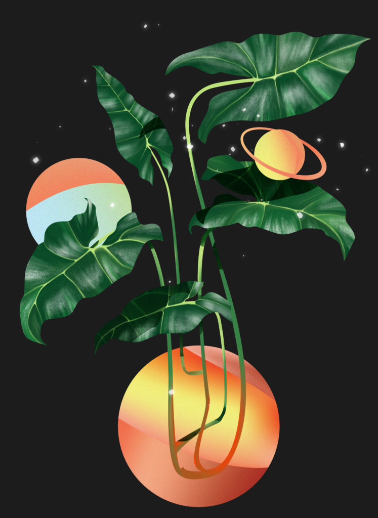 Digital art of plants and planets