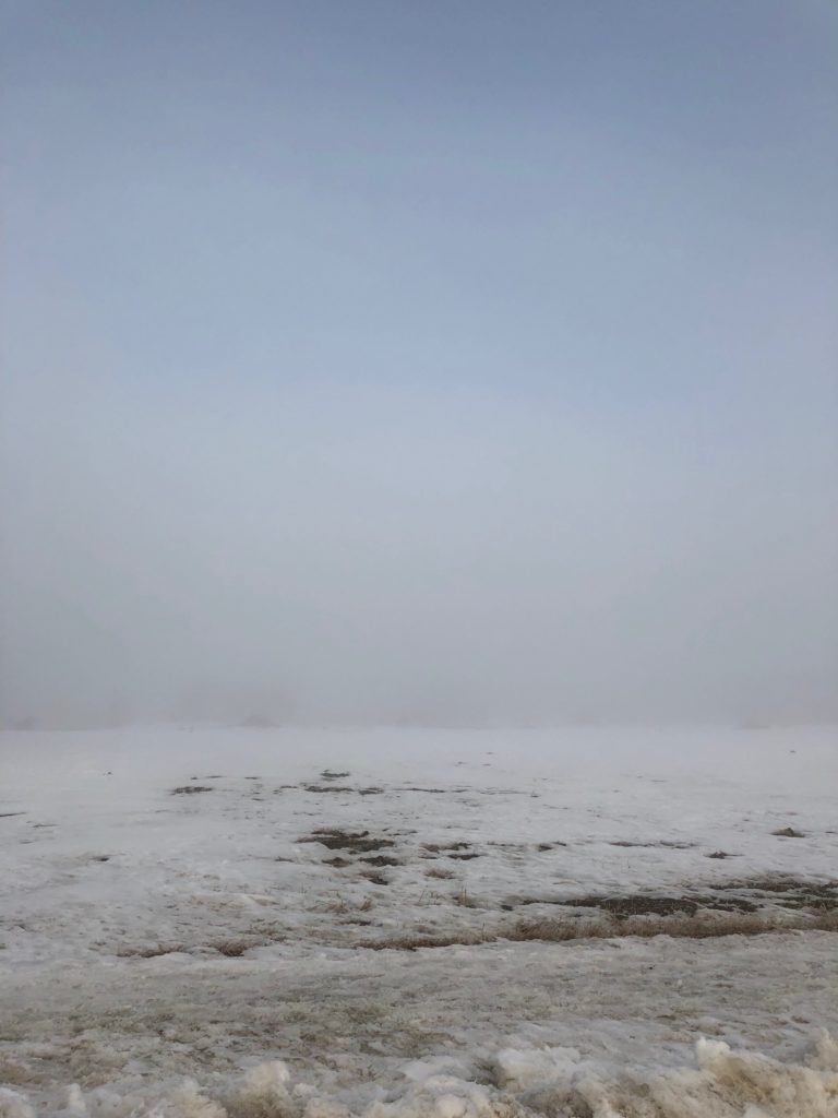 Foggy morning in Regina