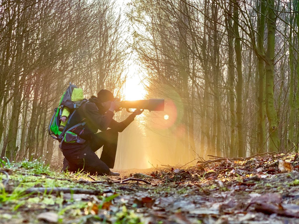 A cameraman takes a photo in the woods with a large camera