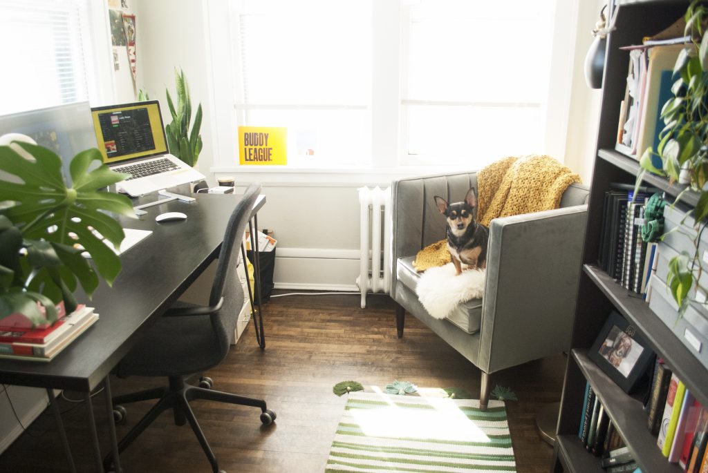 Ashley Hohnstein's office with her dog Stella sitting in a chair in the corner. 