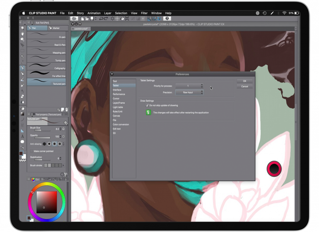 Clip Studio Paint's Tablet Settings