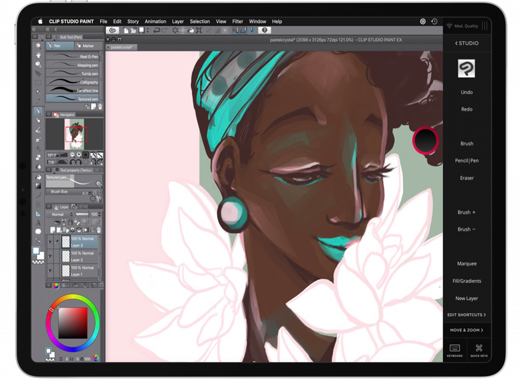 How To Organize A Clip Studio Paint Workspace For Astropad Astropad