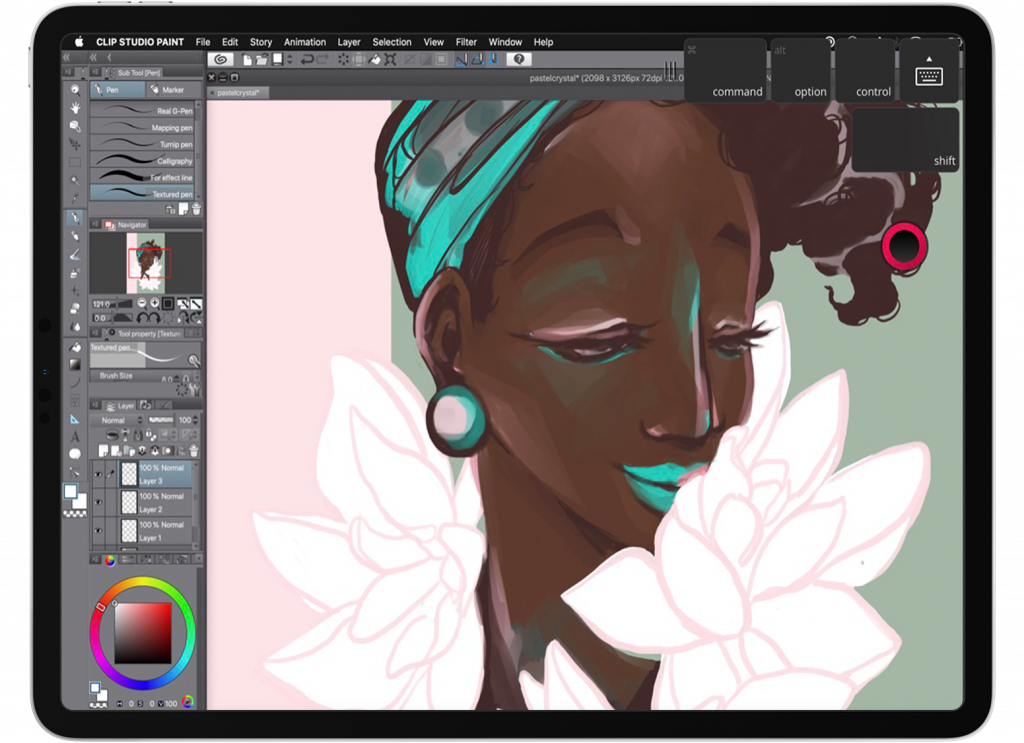 How to use the full Clip Studio Paint desktop app on your iPad | Astropad