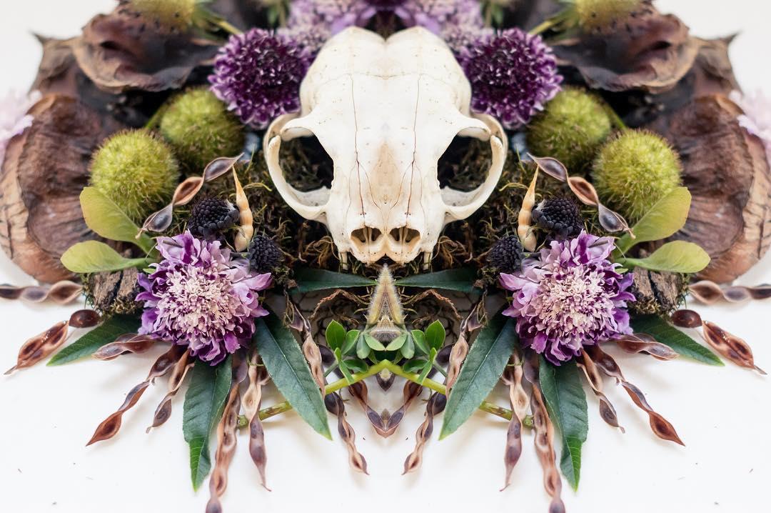 A nature design featuring sticks, flowers, and a skull