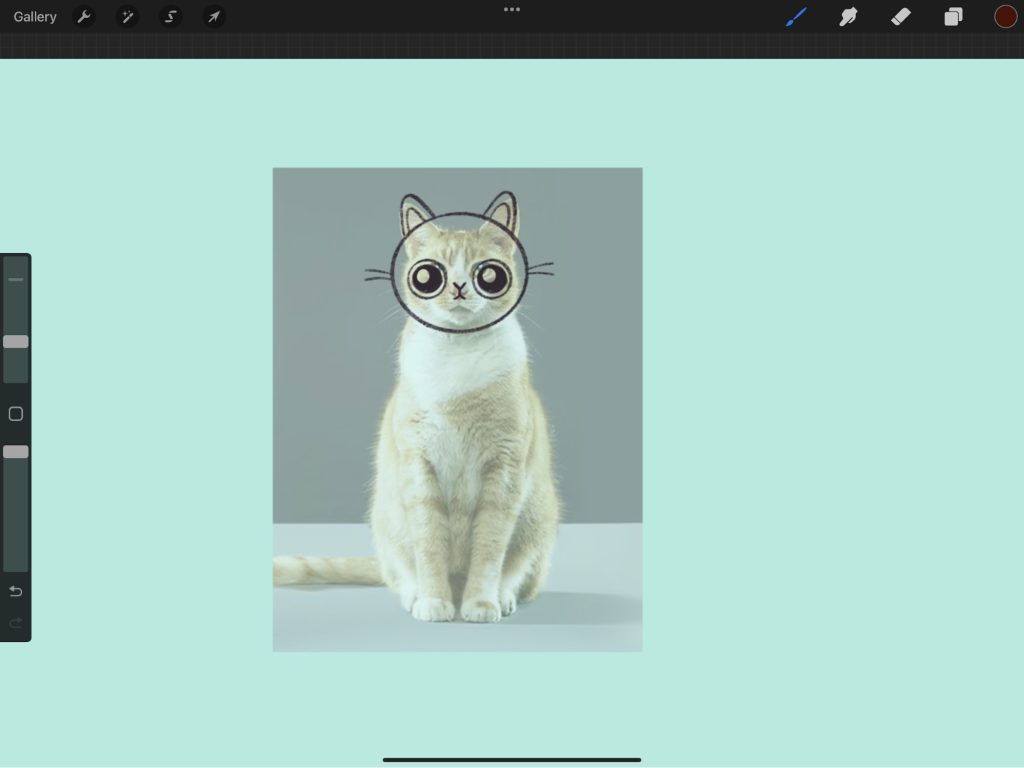 An outline of a cat's head in Procreate