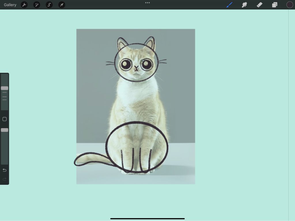 An outline of a cat's head and body in Procreate