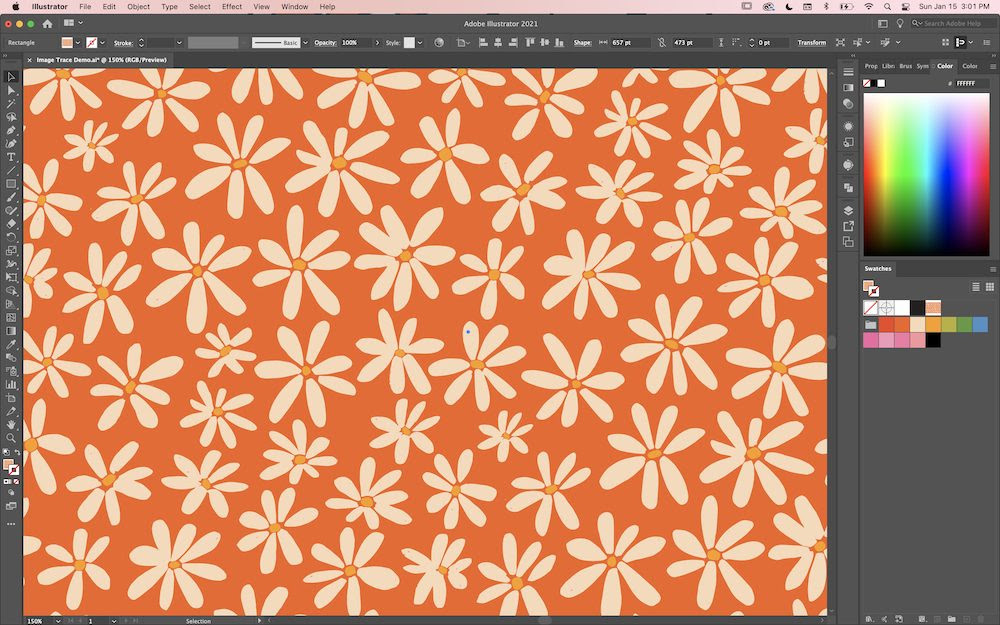 A screenshot of Kayla's Illustrator workspace