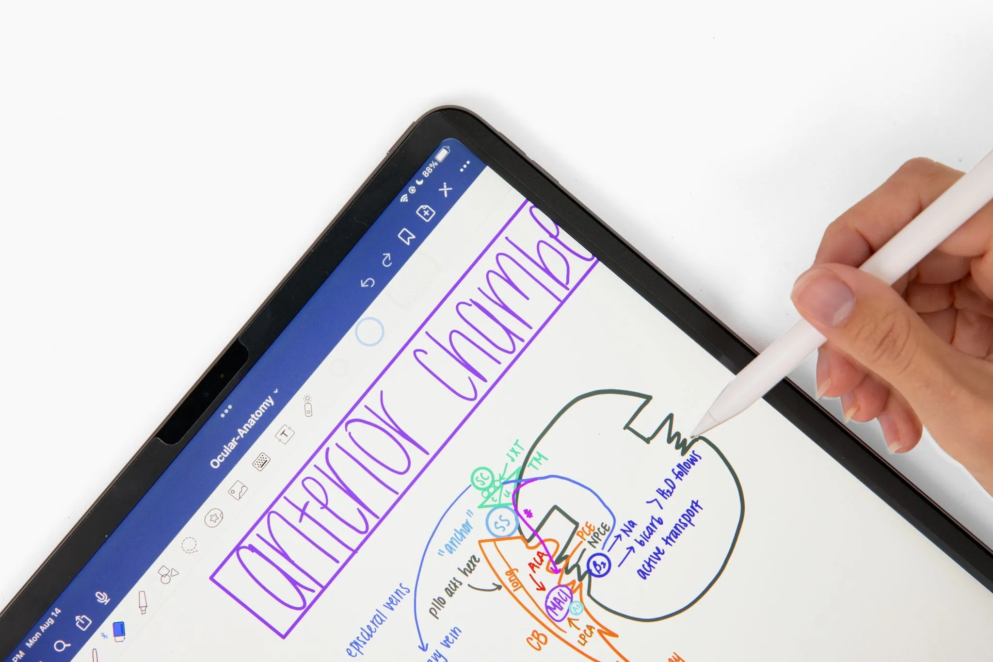 Best Tablets for Note-Taking in 2023 - Astropad