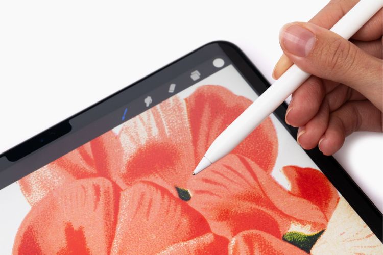 An iPad and Apple Pencil tip with a drawing of flowers 