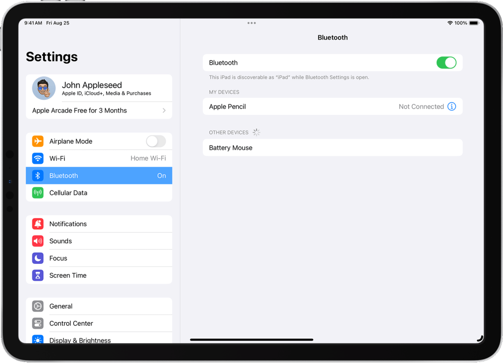 iPad Bluetooth settings screenshot 