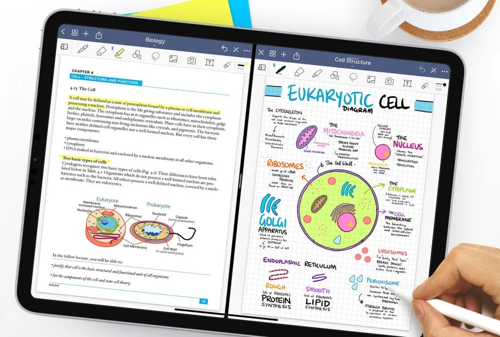 Screenshot of GoodNotes notes on an iPad showing a cell diagram
