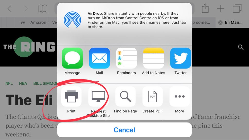 screenshot of ipad share options with the print button circled in red