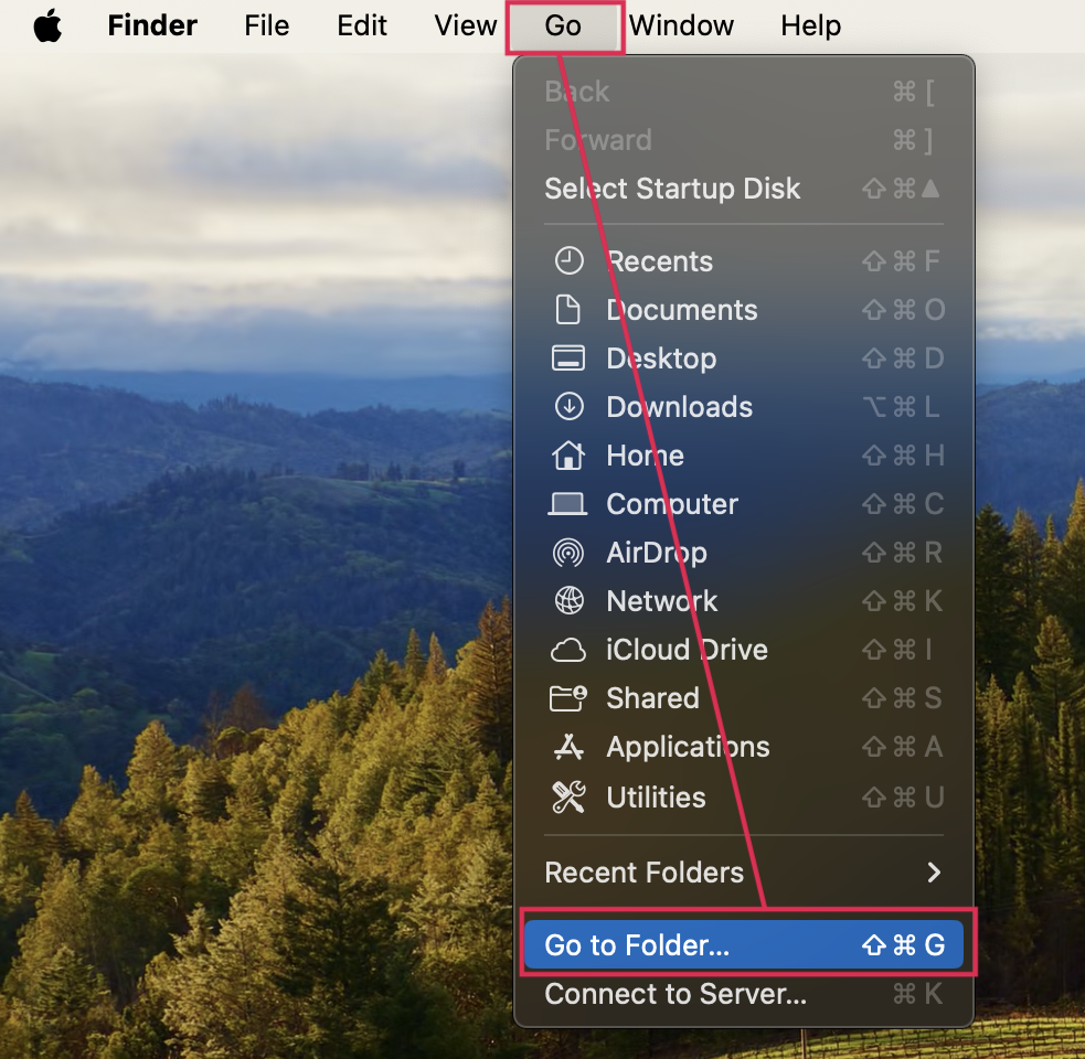 How to navigate to the Go To Folder option in the Mac menu