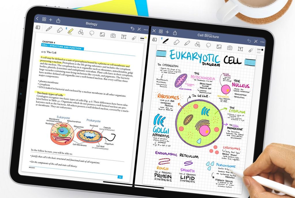 overhead shot of ipad with colorful notes about the eukaryotic cell 
