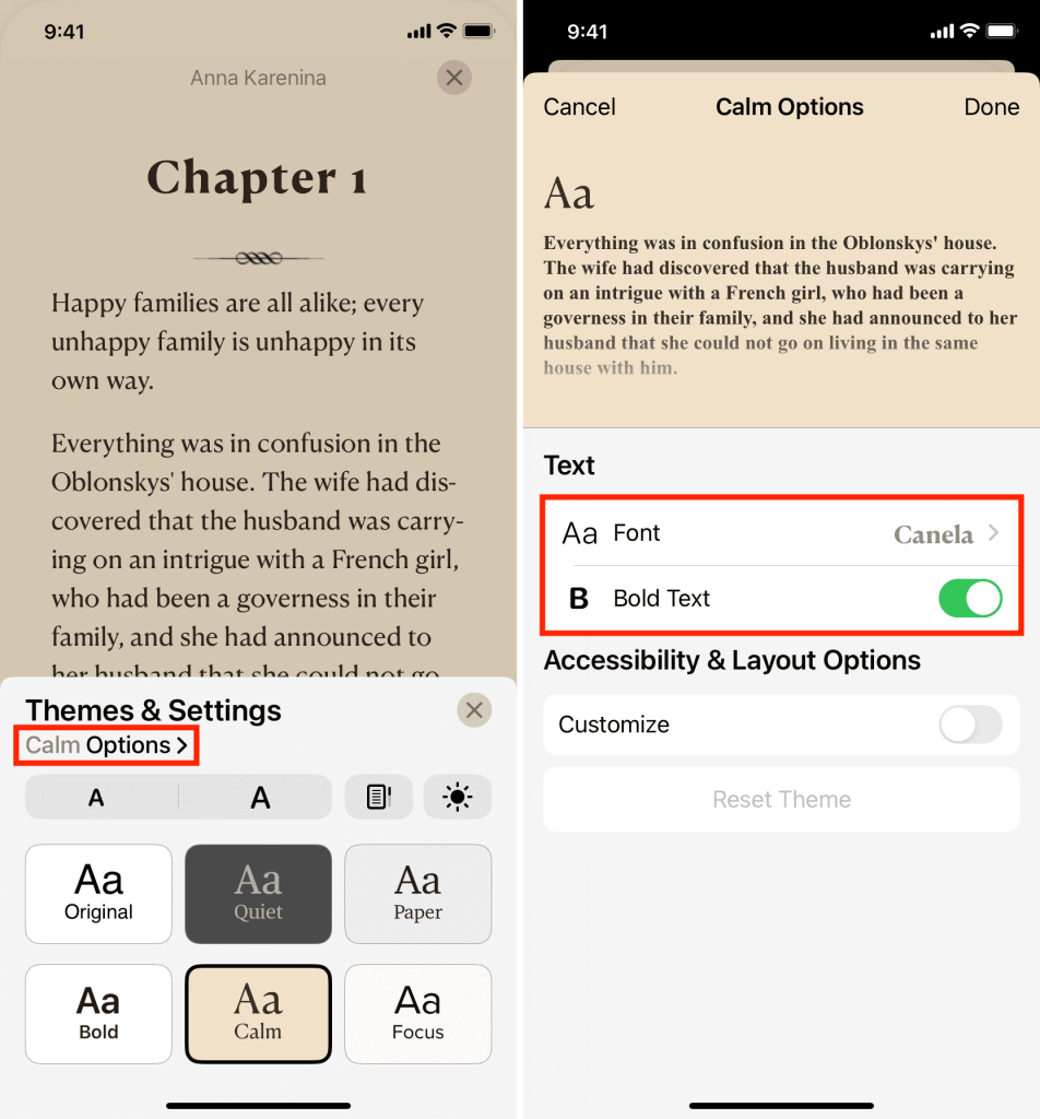 screenshots of apple books customization options. Includes fonts, background colors, bold text, and brightness.